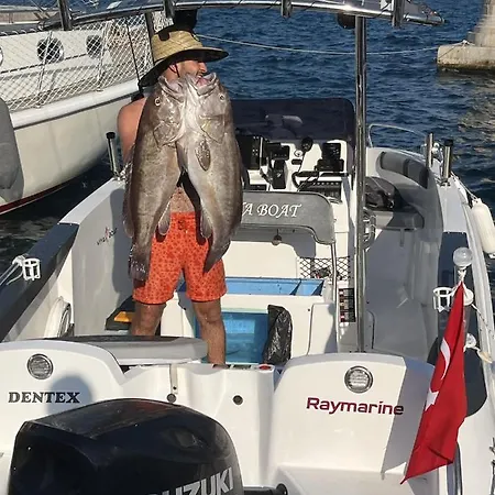 Big Fishing - Turkey Fishing Charter 船屋