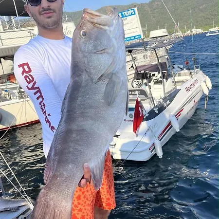 Big Fishing - Turkey Fishing Charter